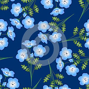 Nemophila Baby Blue Eyes Flower on Indigo Background. Vector Illustration