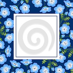 Nemophila Baby Blue Eyes Flower on Indigo Banner Card. Vector Illustration