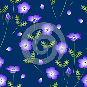 Nemophila Baby Blue Eyes Flower. Vector Illustration. on Indigo Background