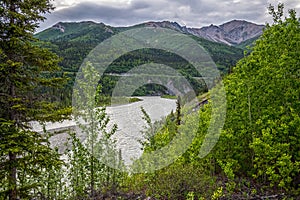 Nenana Landscape