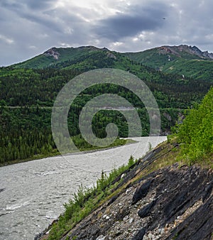 Nenana Landscape