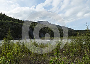 Nenana River Landscape