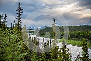 Nenana River View