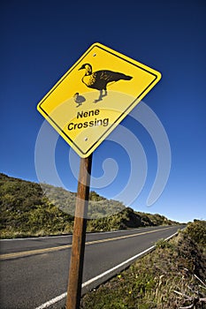 Nene bird crossing sign.