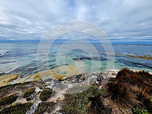 Nene Valley Lagoon and Reef View