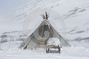 Nenets reindeer herders choom