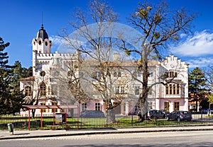 Neo-Gothic manor house