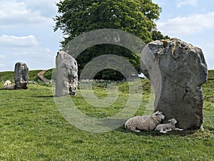 The neolithic Avebury Stone Circle in Wiltshire, Great Britain is a World Heritage Site. photo