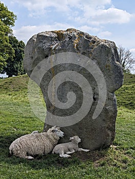 The neolithic Avebury Stone Circle in Wiltshire, Great Britain is a World Heritage Site. photo