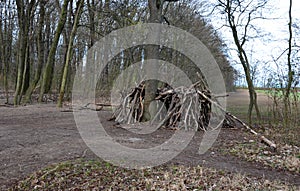 A Neolithic hut, a wooden building of ethnically backward nations, or a survival lodge. logs assembled in the shape of a yurt, ear