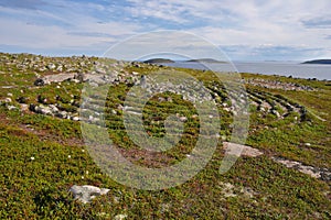 Neolithic labyrinth located at Oleshin Islind, Kuzova Archipelago,White Sea, Russia.