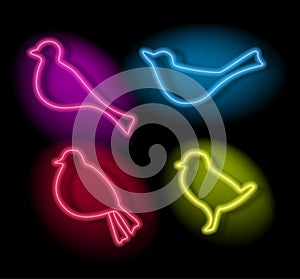 Neon bird icons. Colored glowing silhouettes