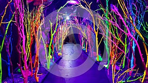 Neon Branch Path Meow Wolf. Santa Fe, NM photo