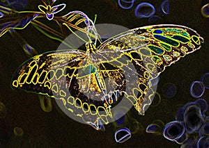 Neon Butterfly Creative Art Graphic