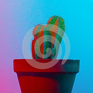 Neon cactus. Cactus minima art. Cactus fashion idea