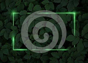 Neon frame with a bright glow on the background of green tropical plants, top view