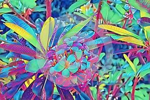 Neon frangipani flower in leaf. Plumeria blossom psychedelic digital illustration. Blooming tropical bush.