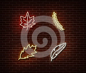 Neon leaves signs vector isolated on brick wall. Ear of wheat, feather, leaf light symbol, autumn decoration effect. Neon