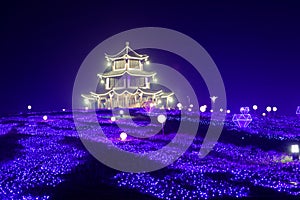 Neon lights with different shapes-The first lantern festival in Nanchang