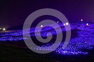 Neon lights with different shapes-The first lantern festival in Nanchang