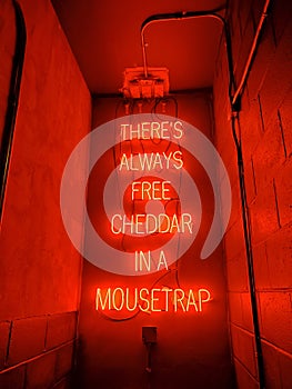 Neon Lights theres always free cheddar in a mousetrap
