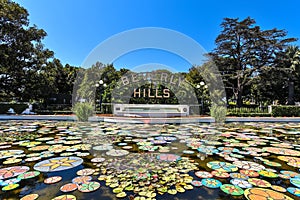 The Neon Nights in 3D Installation on Lily Pond by the Beverly Hills Sign - August 2017
