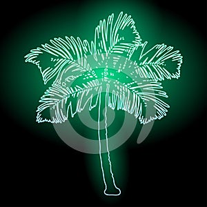 Neon Palm tree. Vector illustration EPS10