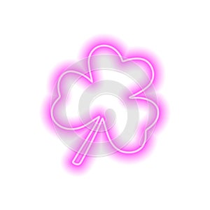 The neon pink clover leaf isolated on white
