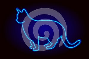 Neon sign cat