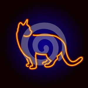 Neon sign cat