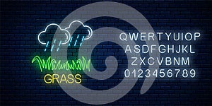 Neon sign of raining clouds and plot of grass. Lawn irrigation concept in neon style. Vector illustration