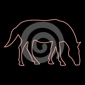 Neon steed Horse Equestrian Equine Stallion thoroughbred Mustang red color vector illustration image flat style