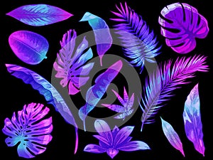 Neon tropical leaves. Color exotic tree and plant leaf, colorful palm leaves hand drawn vector illustration set