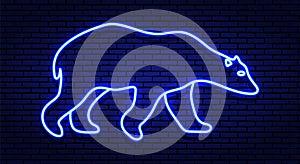 Neon winter sign. The contour of the white polar bear in shades of blue.