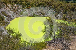 Neon yellow sulfur pond at Wai-O-Tapu, New Zealand