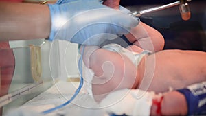 Neonatal resuscitation. Female doctor examining newborn baby in clinic