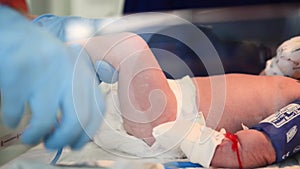 Neonatal Resuscitation. Female doctor examining newborn baby in clinic