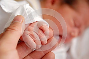 A neonate and its hand photo