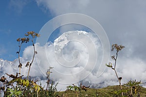 Nepal, Annapurna. Mardi Himal trek.