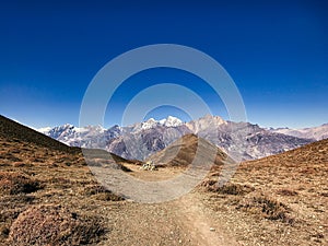 Nepal mountain trekking