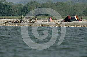 Narayani River, Chitwan National Park