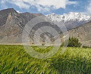 Nepal, nestled in the Himalayas,