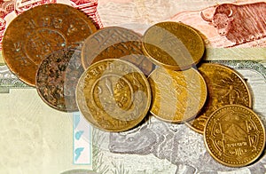 Nepalese coins on the banknotes.