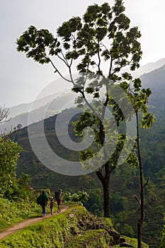 Nepalese Family Hiking Mountain Trail Village Sunset.Young Group People Climbing Track Traveler Beautiful End Noth Asia