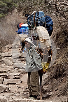 Nepalese porter