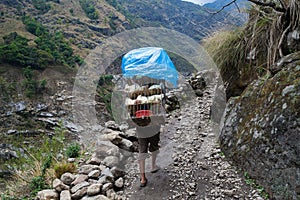 Nepalese Sherpa Hiking Mountain Trail Village .Young Man Climbing Loaded Bags Track Traveler Beautiful Noth Asia.Summer