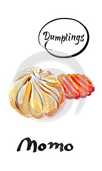 Nepalese traditional dumpling momo and piece of carrot, watercolor vector illustration