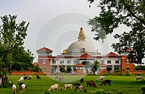 Nepalese Uddhan Mahachaitya: Nepalese Monastery