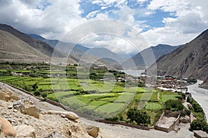 Nepalese village of Kagbeni, with orchards, is located in the valley of the Himalayas.