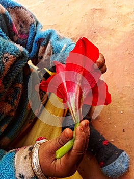 Nepali baby hands with flower